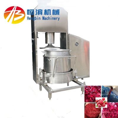 Leistungsstarke 3kw Hydraulische Saftpressmaschine für Erdbeere Zitrone Apfel Banane Birne Produktion
