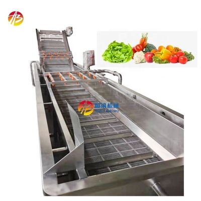 1000 kg/h Kapazität Luftblasenwaschmaschine für Obst und Gemüse für den Industriemarkt