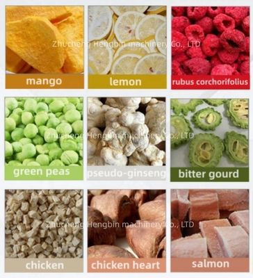 Vakuumfrost-Dehydratationsmaschine für Sirup, Obst, Fleisch, Fisch, Gemüse und Blumen