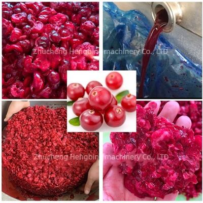 Hydraulische Druckmaschine für Granatapfel, Kokosmilch und andere Früchte 400 kg