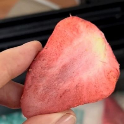 Geräte zur Vakuumfrost-Dehydratation von Obst- und Gemüsefleisch in gewerblichen Anlagen