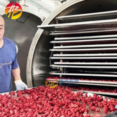 Meeresfrüchte und Früchte 38kw Energieeinsparende Gefriertrocknermaschine mit 1400*1000mm Tray Größe